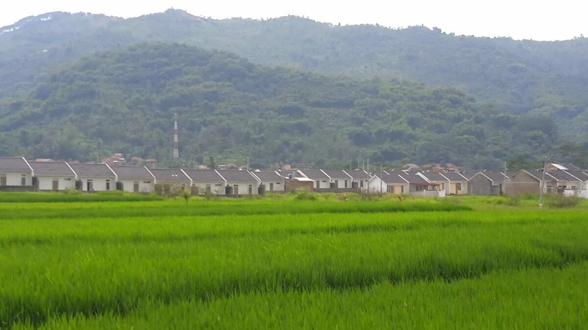 Lahan Pertanian di Desa Citapen Tinggal 30 Persen, Rumah Pangan Lestari Jadi Andalan Pemdes Hadapi Resesi 2023