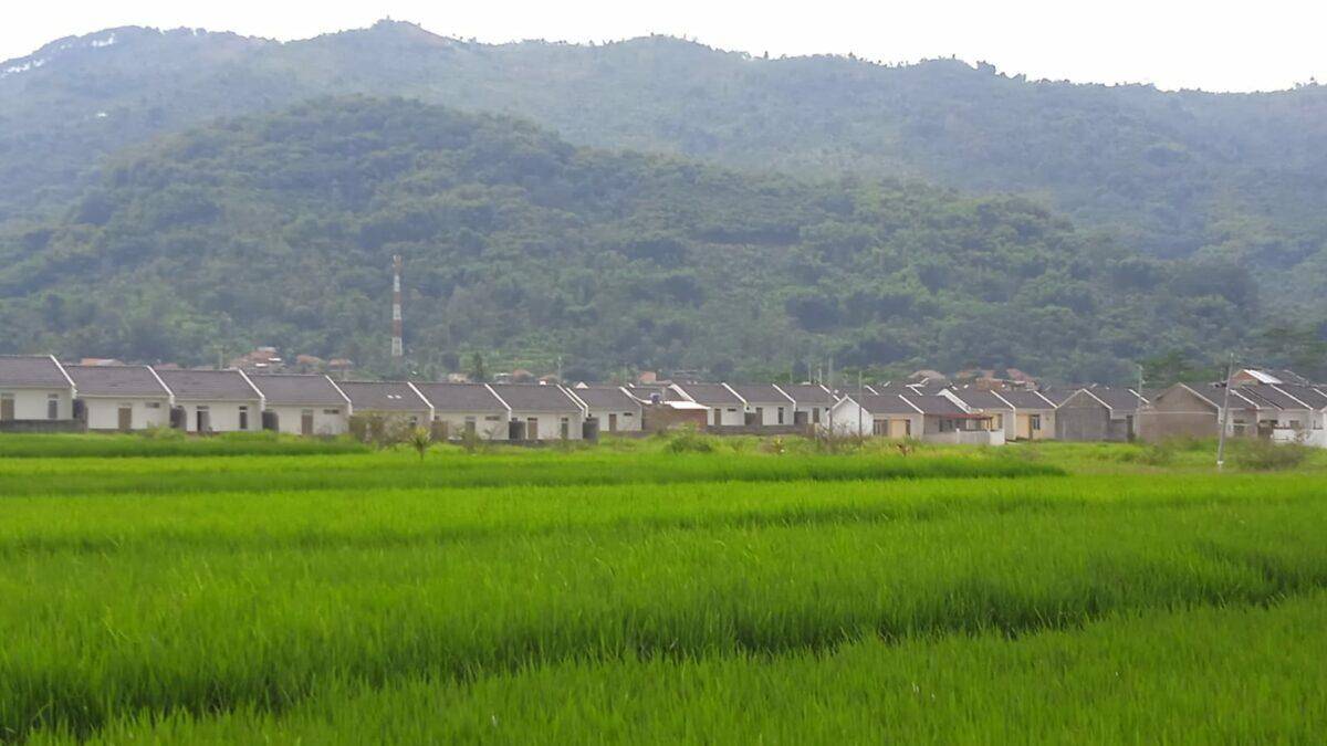 Lahan Pertanian di Desa Citapen Tinggal 30 Persen, Rumah Pangan Lestari Jadi Andalan Pemdes Hadapi Resesi 2023