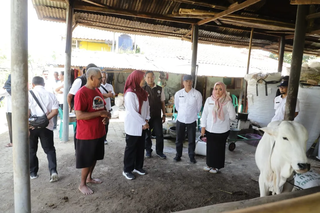 Jaga Ketahanan Pangan, Pemprov Jabar Salurkan Bibit Sapi Potong ke Tiga Kabupaten